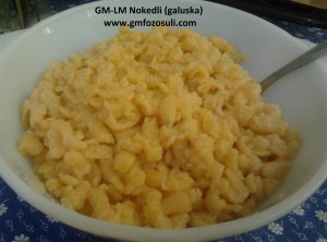 GM-LM Nokedli