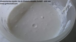 Kovász rizs-Glutenix. 1.nap